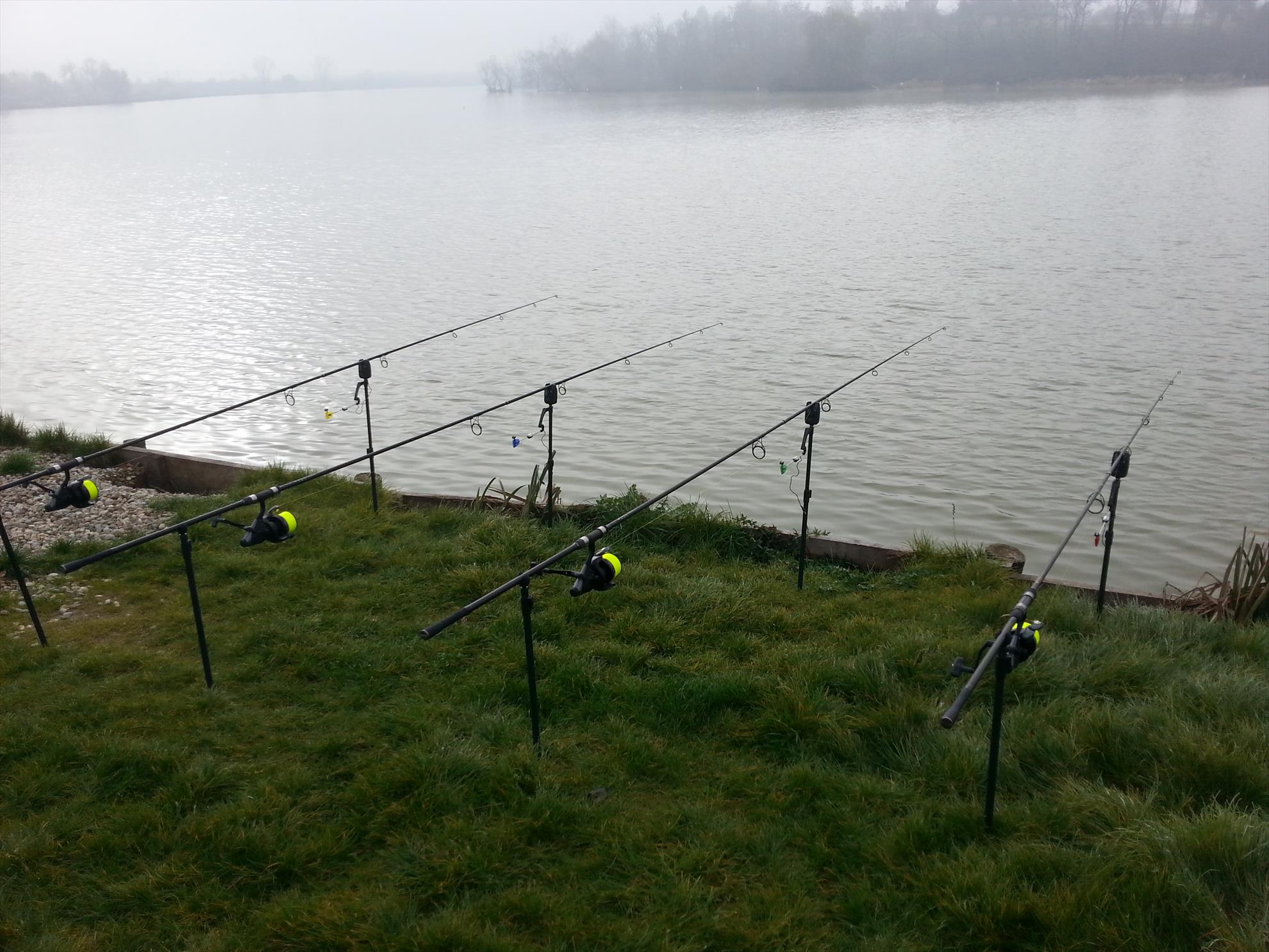 Hermes Peris 14 decembrie 2014 - 201412141041481.jpg